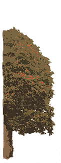 He Had Left Abergyffin The Next Day For His Grandparents' - Red (580x580), Png Download