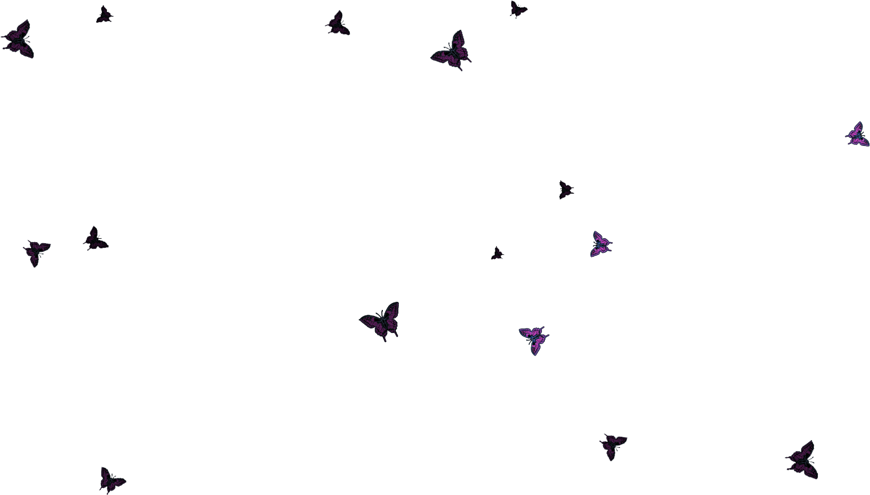 Flock (2048x1152), Png Download