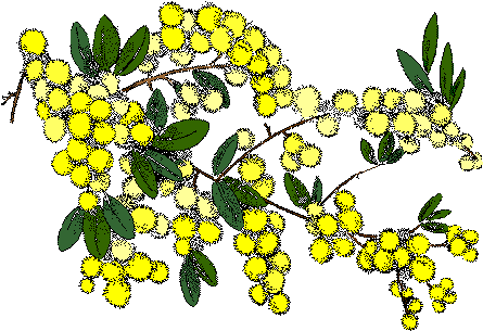 The - Russia And Australia Relations (488x343), Png Download