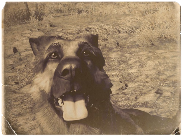 Dogmeat Atc - Fallout 4 (649x487), Png Download