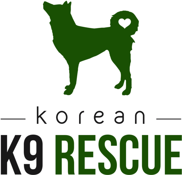 Korean K9 Rescue - Ignorance Lack Of Knowledge (1000x731), Png Download