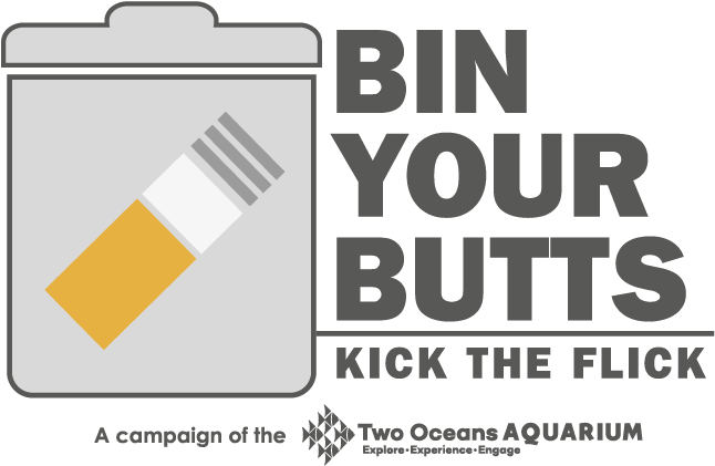 Cigarette Butts On Streets End Up In Waterways - Cigarette Buds In Oceans (698x477), Png Download