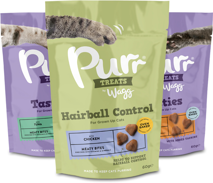 View The Range - Kitten (800x650), Png Download