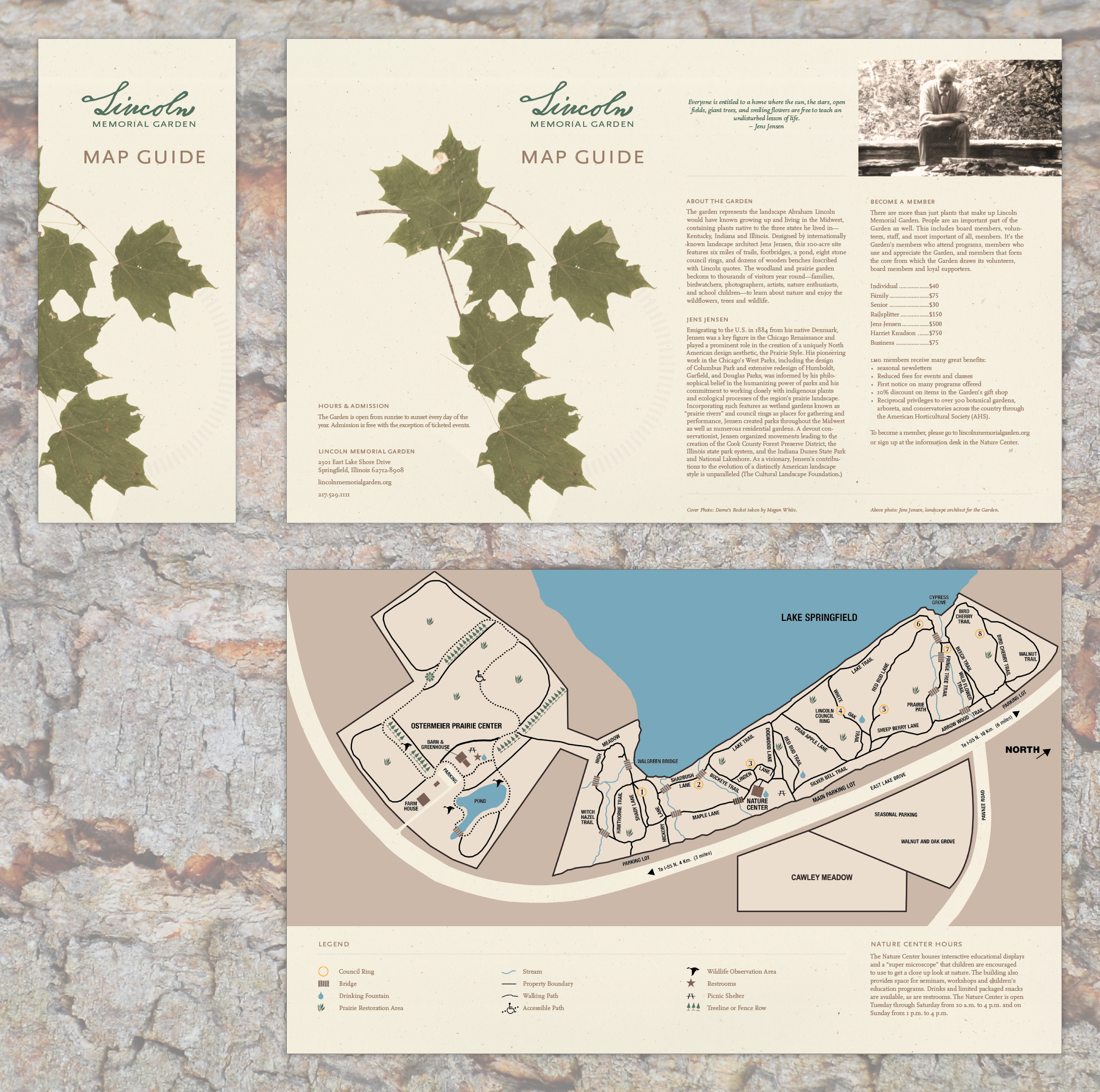 I Created A Plant Guide For Visitors To Use On The - Gambel Oak (2175x2160), Png Download