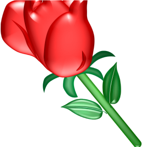 Rose Gif Clip Art (640x480), Png Download