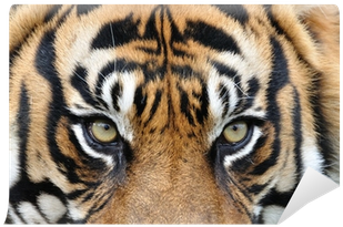 Wildlife Heritage Foundation (400x400), Png Download