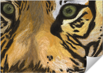 Tiger Eyes - Siberian Tiger (674x516), Png Download
