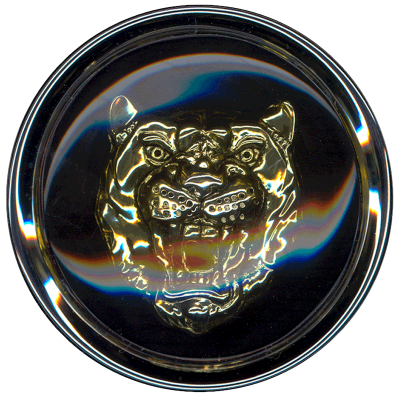 Jaguar Wheel Badge, Gold Growler/black Background - Jaguar Badge (800x800), Png Download