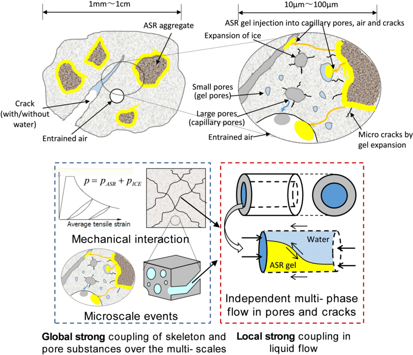 Poro-mechanics Of Asr Gels - Ice (850x716), Png Download