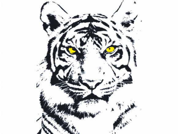 Stencil Tiger (580x580), Png Download