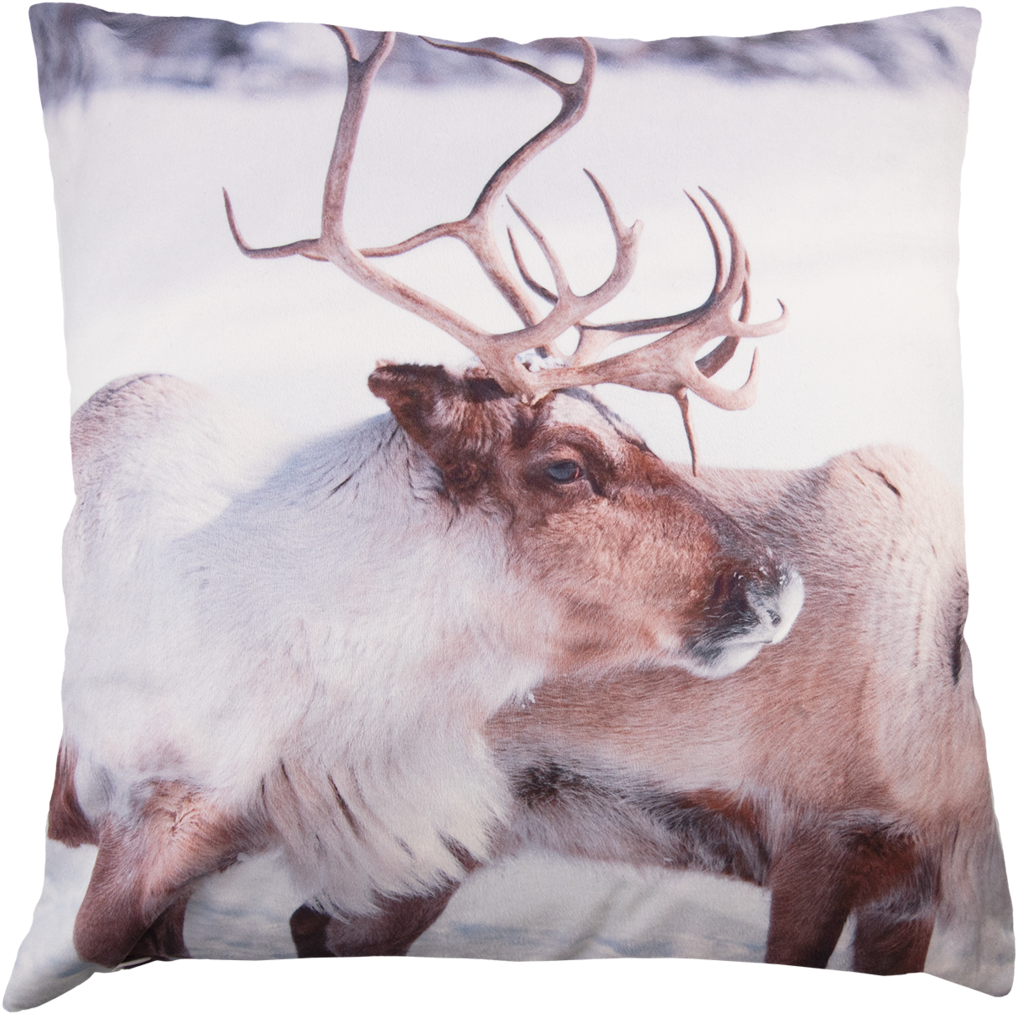 8901 Koristetyynynpäällinen Poro - Cushion (1080x1080), Png Download