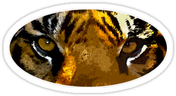 Tiger Eyes Png - Bengal Tiger (375x360), Png Download