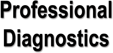 The Check Engine Light Signifies That There Is A Problem - Professional Diversity Network Logo (481x450), Png Download