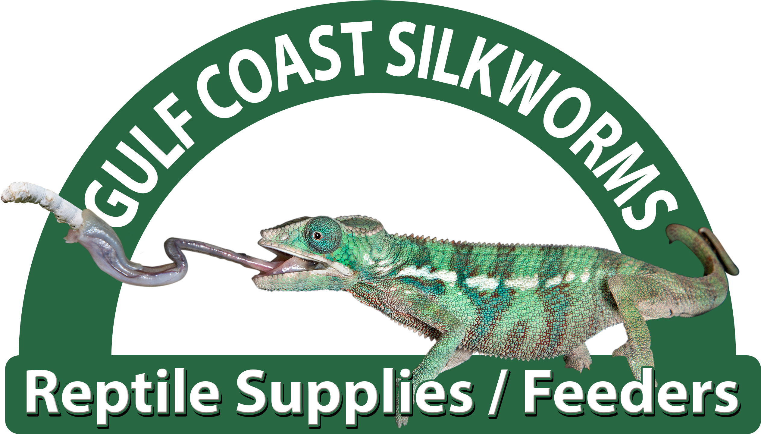 Find The Largest Selection Of Butterfly Cages On The - Philippine Muslim Teachers College (2921x1879), Png Download