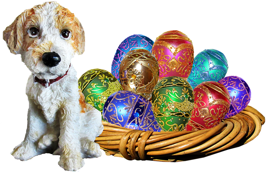 Easter, Dog, Basket, Eggs - Easter (960x654), Png Download