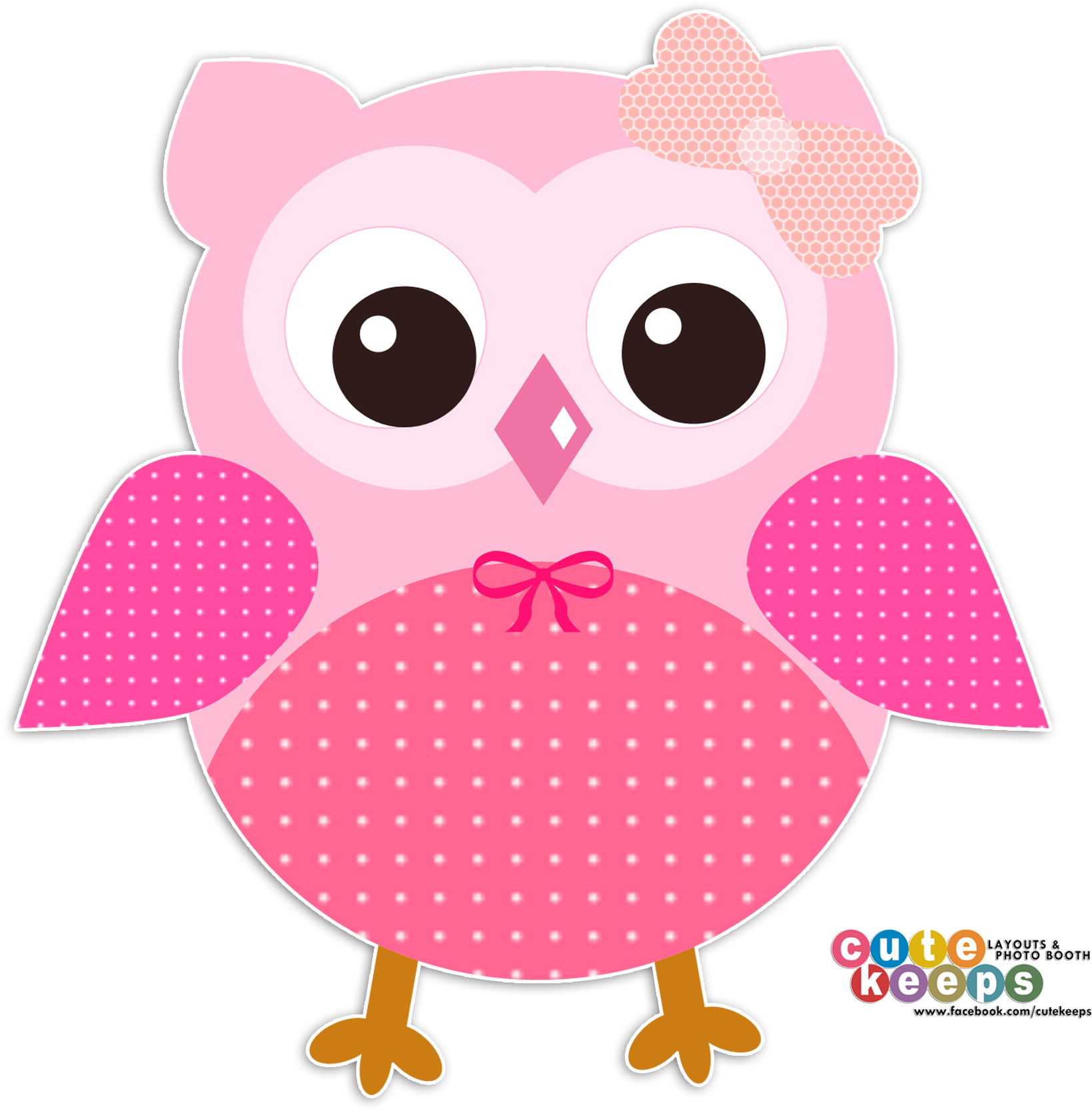Cute Pink Owl Owl Png, Peach Orange, Pink Owl, Cute - Owl (1800x1800), Png Download