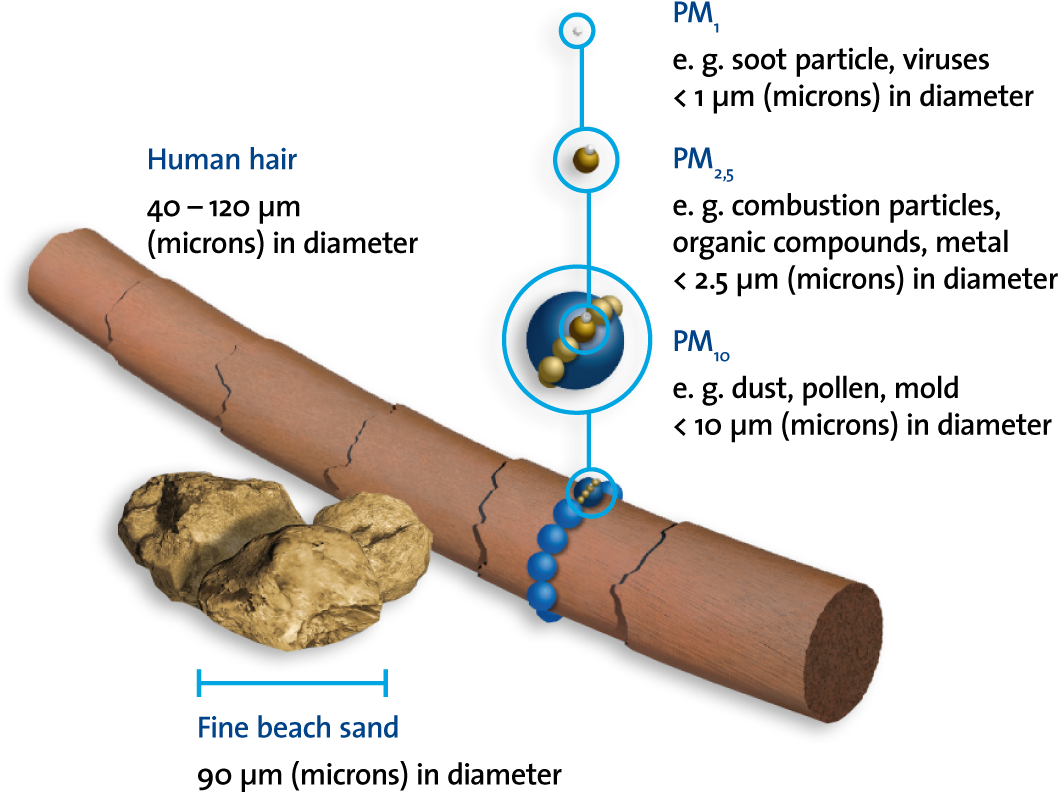 Illustration Of Pm1, Pm2,5 Und Pm10 Particle Size - Beispiel Mikrometer (1360x884), Png Download