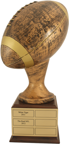 Popimage - Png Images Of Football Trophy (580x580), Png Download