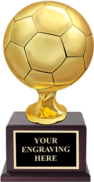 Solid Wood Awards - M Not Your Toy (300x400), Png Download