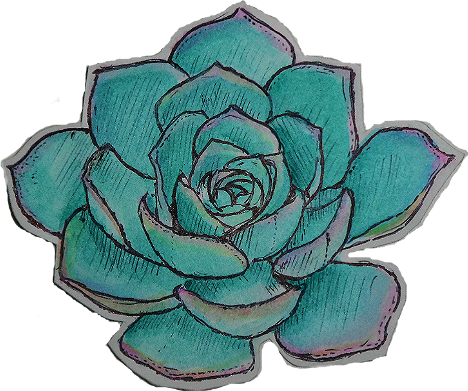 Succulent Flower Aesthetic Kawaii Love Cute Girl Heart - Cuteness (468x391), Png Download