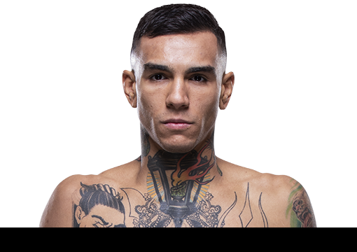 Andre Fili - Майкл Джонсон Андре Фили (510x360), Png Download