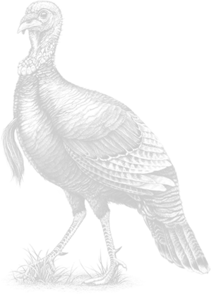 Join Wild Turkey Bourbon In Supporting Team Rubicon - Wild Turkey (299x416), Png Download