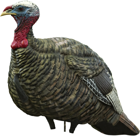 He Can Pair This Jake With A Hen Or Use It By Itself - Avianx Jake Quarter Strut Decoy, Camo By Avian-x (736x460), Png Download