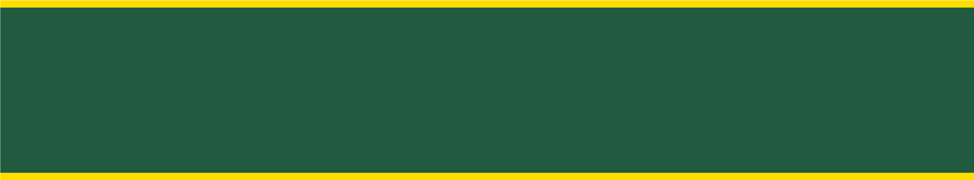Cañada Green Header/footer Block With Yellow Accent - Flag (3301x901), Png Download