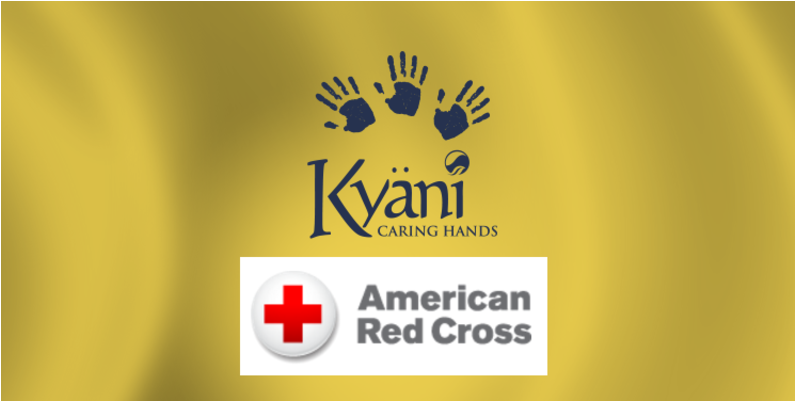 Becomes Title Sponsor Of Idaho Red Cross's Signature - American Red Cross (1100x400), Png Download