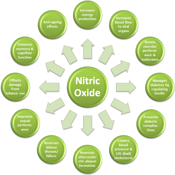 Benefits Of Nitric Oxide - Nitric Oxide Benefits (610x610), Png Download