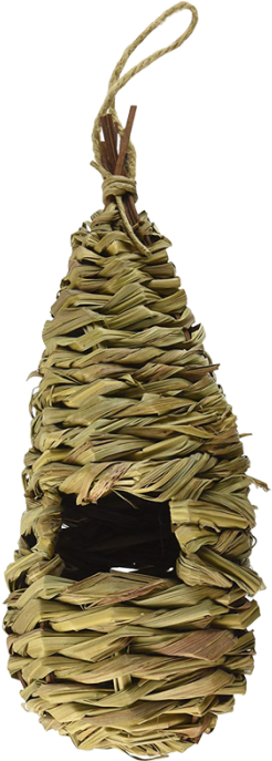 Earrings (700x700), Png Download