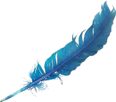 Blue-feather - Blue Bird Harvest Moon (373x328), Png Download