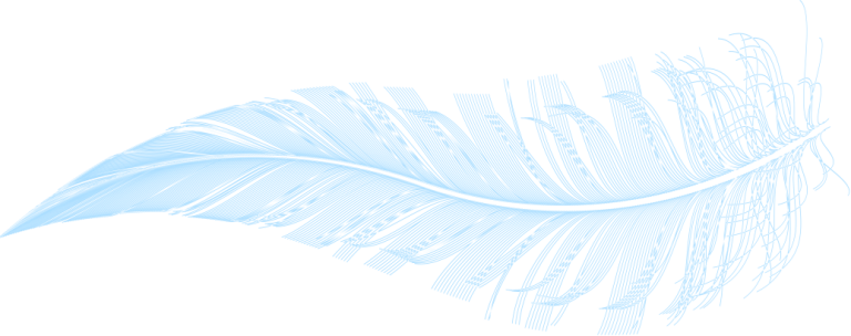 Graphic Illustration Of A Feather - Illustration (768x304), Png Download