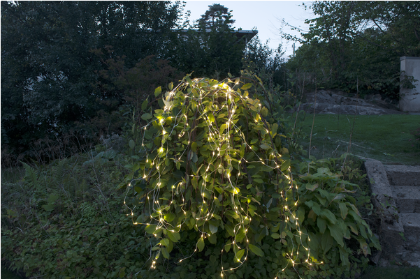 Cluster Lights Dew Drop Outdoor - Light-emitting Diode (600x600), Png Download