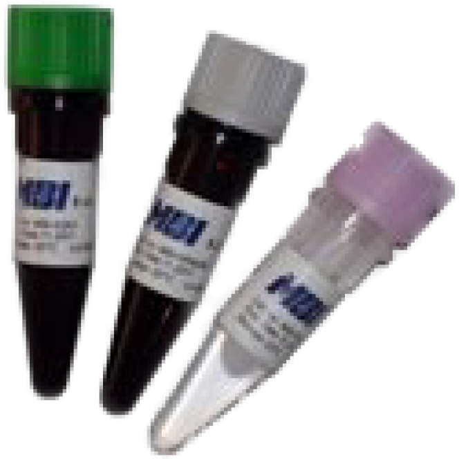 More Views - Lip Gloss (700x700), Png Download