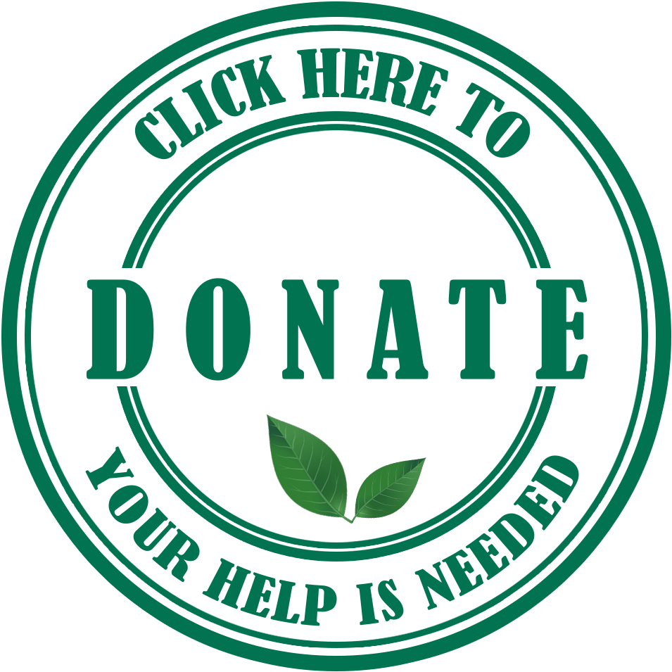 Toggle Navigation - Clip Art Travel Philippines (1000x1000), Png Download