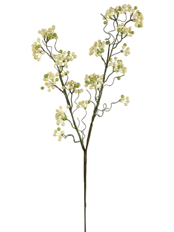 24" Eva Berry Spray Cream Green - Silk Plants Direct Berry Spray - Cream Green - Pack (800x800), Png Download