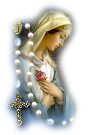 Step Five Most Holy Rosary Children Of The Eucharist - Our Lady Of The Holy Rosary Png (346x461), Png Download