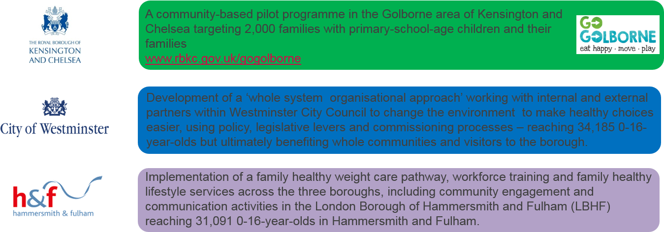 Dr Eva Hrobonova Deputy Director Of Public Health , - London Borough Of Hammersmith And Fulham (1349x478), Png Download