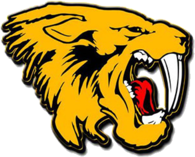 Three Scottsdale Football Players Hospitalized After - Saguaro High School Logo (900x575), Png Download