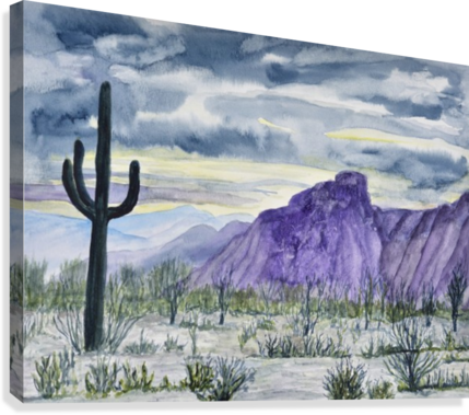 Lone Saguaro Canvas Print - Cactus (429x379), Png Download