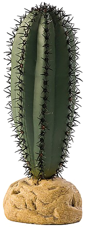 Saguaro Cactus Png High-quality Image - Cactus In Pot Png (620x620), Png Download