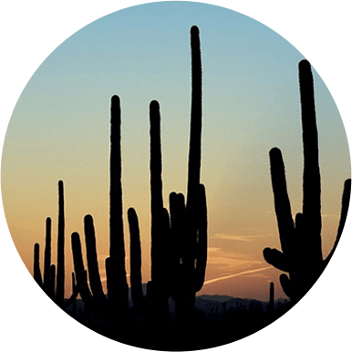 And Beyond Phoenix, Az - Arizona (386x386), Png Download