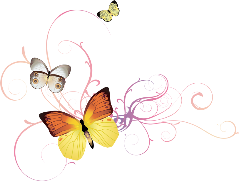 Floral Butterfly Hd Pics Png (1024x768), Png Download