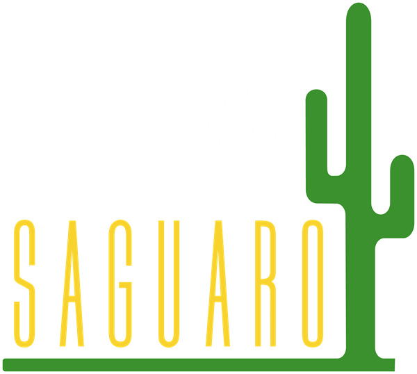 Sticky Saguaro - Parallel (600x538), Png Download