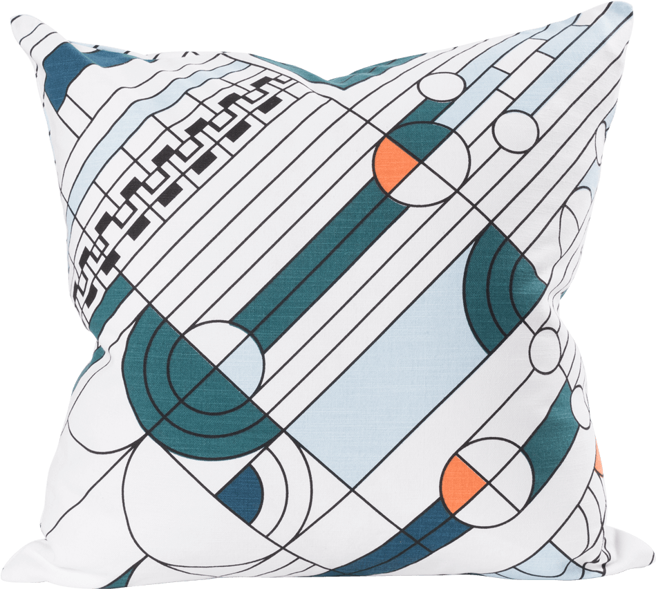 Saguaro Pillow - Fl18086 - Pillow (1000x1000), Png Download