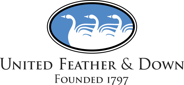 800 Fill Grey Goose Down - United Feather & Down Inc. (646x298), Png Download