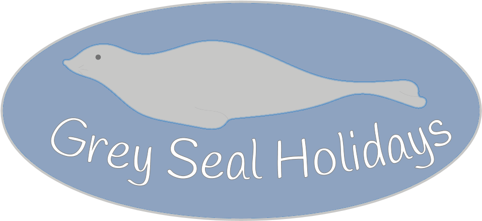 Earless Seal (969x454), Png Download