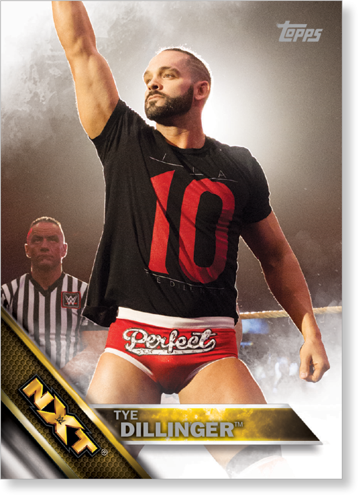 Tye Dillinger 2016 Topps Wwe Now, Then And Forever - 2016 Topps Wwe Then (2000x2000), Png Download