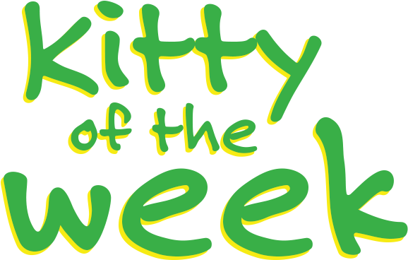 'jojo' From The Bide Awhile Shelter - Stop Aids Keep The Promise (800x600), Png Download